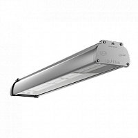 светодиодный светильник ВАРТОН Айрон-АГРО 600*109*66 мм² класс защиты IP67 с акрил рассеивателем 18 ВТ | код. V1-IA-70073-03000-6701865 | Varton